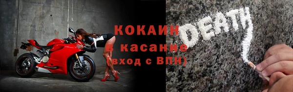 ГАЛЛЮЦИНОГЕННЫЕ ГРИБЫ Аркадак