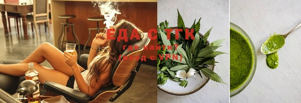 ГАЛЛЮЦИНОГЕННЫЕ ГРИБЫ Аркадак